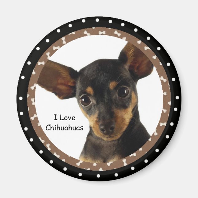 I love Chihuahuas Magnet (Front)