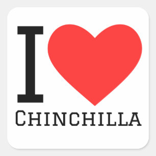I love chinchilla square sticker