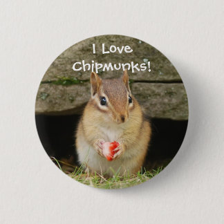 I love chipmunks! 6 cm round badge