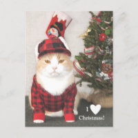 I Love Christmas!