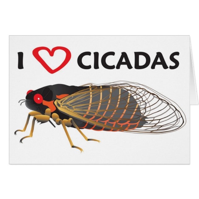 I Love Cicada (Front Horizontal)