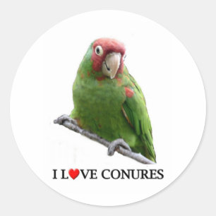 I love conures too classic round sticker