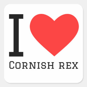 I love cornish Rex Square Sticker