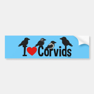 I Love Corvids Bumper Sticker