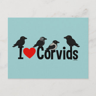 I Love Corvids Postcard