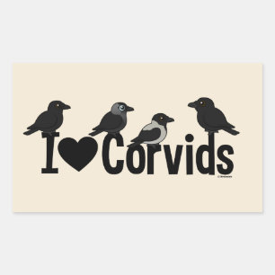 I Love Corvids Rectangular Sticker