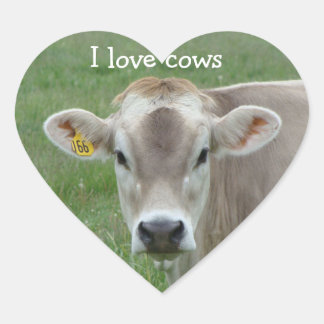 I Love Cows Jersey Cow Heart Sticker