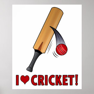 I Love Cricket Bat and Ball Poster