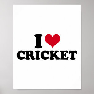 I Love Cricket  Poster