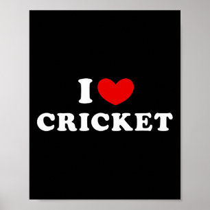 I Love Cricket  Poster