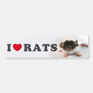 I love (cute) Rats Bumper Sticker
