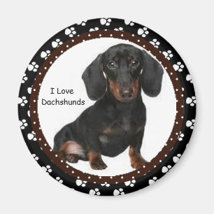 I love Dachshunds Magnet