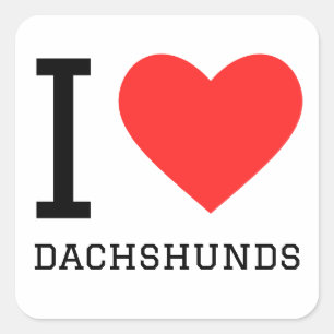 I love dachshunds square sticker