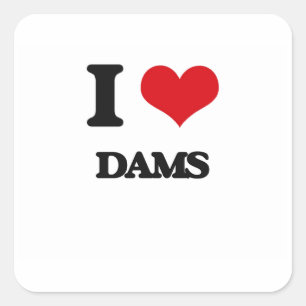I love Dams Square Sticker
