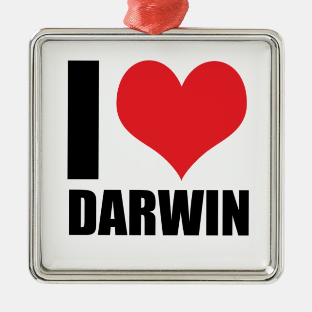 I love Darwin Metal Tree Decoration (Front)