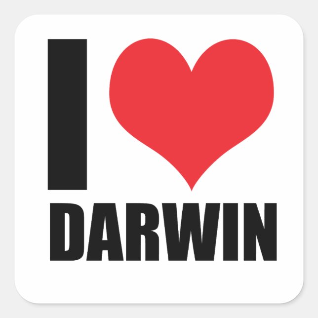 I love Darwin Square Sticker (Front)