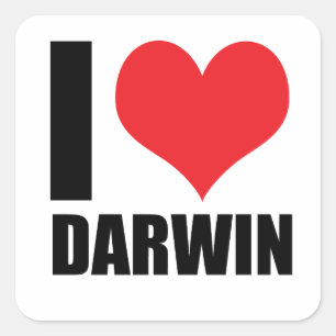 I love Darwin Square Sticker