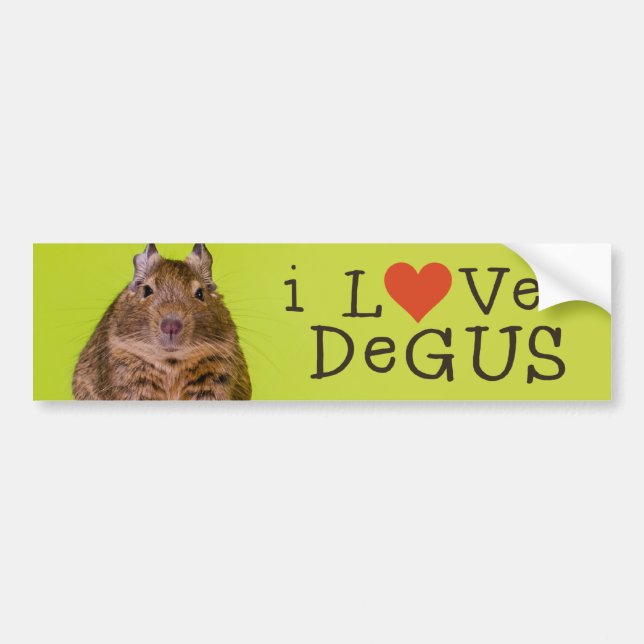 I Love Degus Bumper Sticker (Front)
