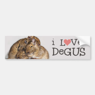I Love Degus - Degu Pile Bumper Sticker