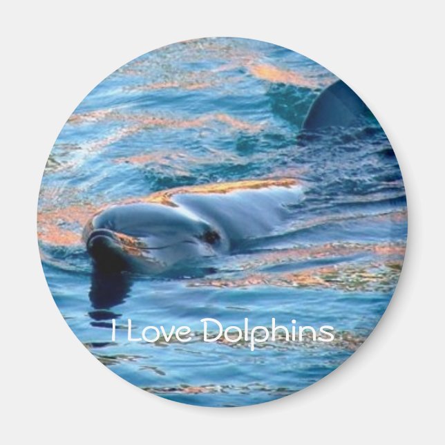 I Love Dolphins Magnet (Front)