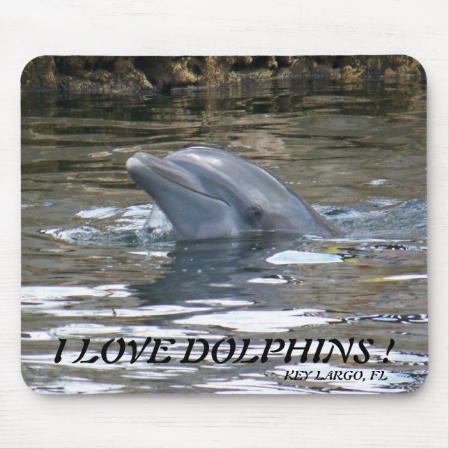 I LOVE DOLPHINS ! MOUSE MAT (Front)