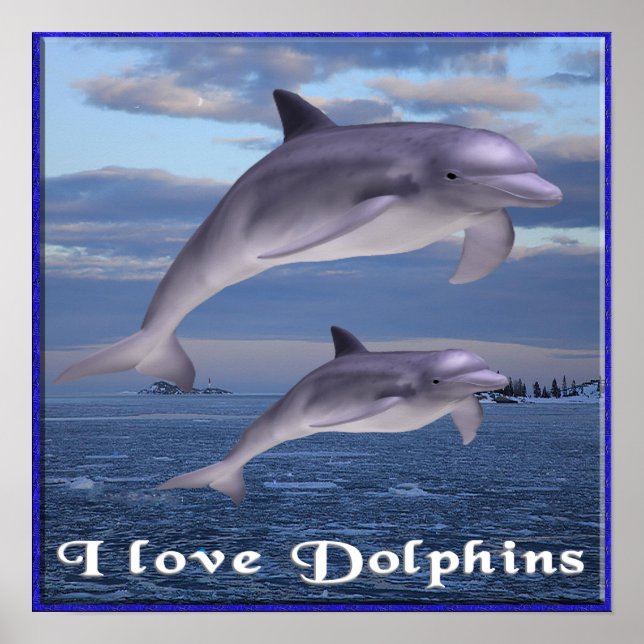 I love Dolphins poster (Front)