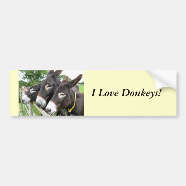 I Love Donkeys! Bumper Sticker (Front)