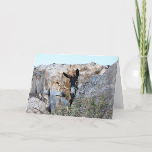 I Love Donkeys! Card