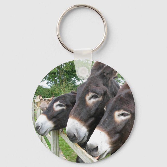 I Love Donkeys! Key Ring (Front)