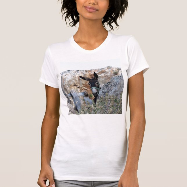 I Love Donkeys! T-Shirt (Front)