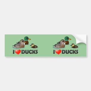 I Love Ducks Bumper Sticker