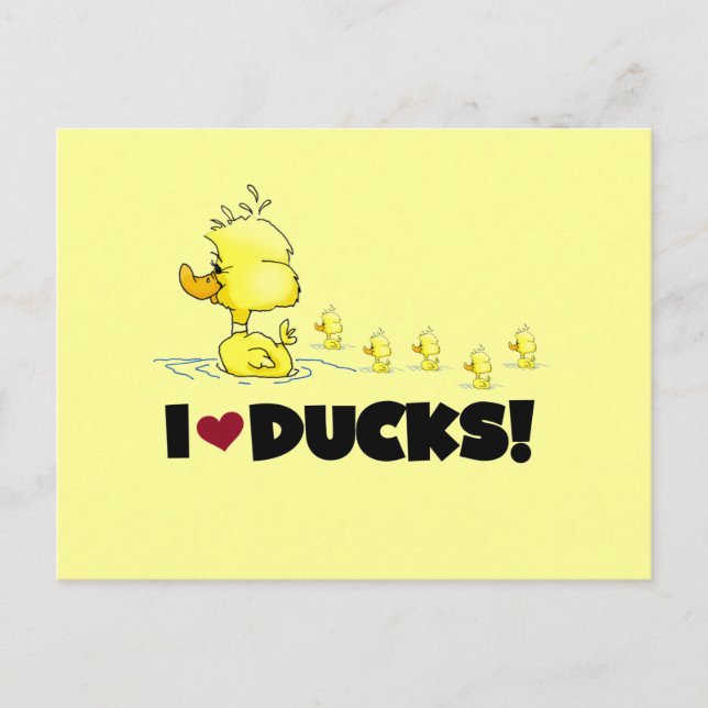I Love Ducks Tshirts and Gifts Postcard (Front)