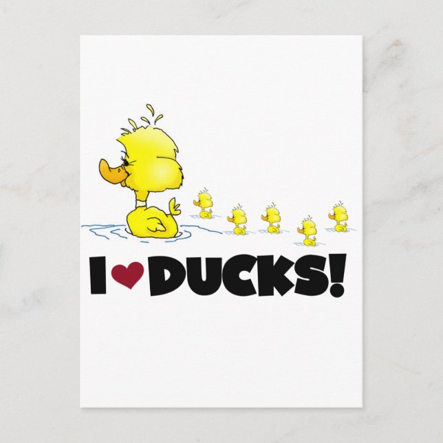 I Love Ducks Tshirts and Gifts Postcard (Front)