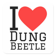 I love dung beetle