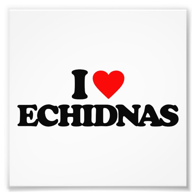 I LOVE ECHIDNAS PHOTO PRINT (Front)