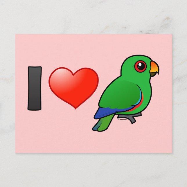 I Love Eclectus Parrots (male) Postcard (Front)