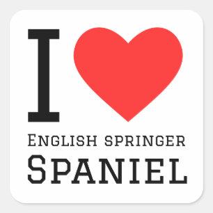 I love English springer spaniel  Square Sticker