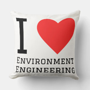I love environment engineering cushion
