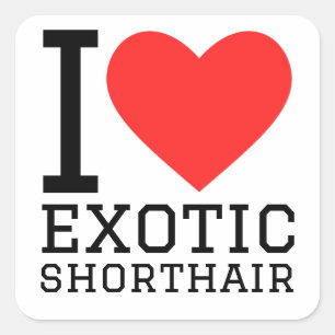 I love exotic shorthair  square sticker