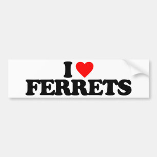 I LOVE FERRETS BUMPER STICKER