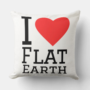 I love flat earth cushion