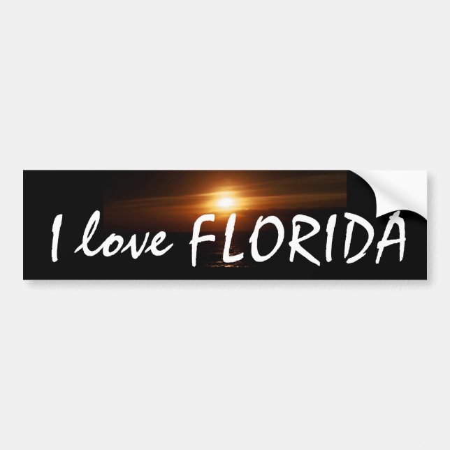 I Love FLORIDA Bumper Sticker (Front)