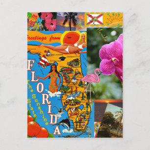 I Love Florida Postcard