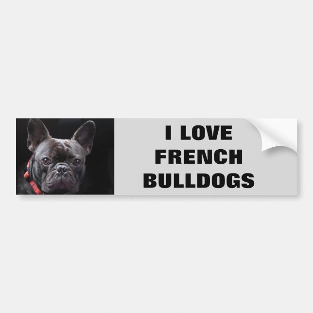 I LOVE FRENCH BULLDOGS BUMPER STICKER (Front)