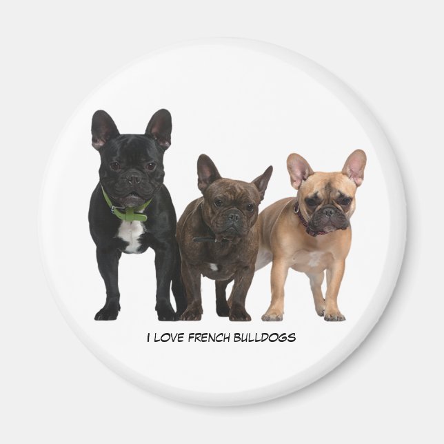 I love French Bulldogs Magnet (Front)