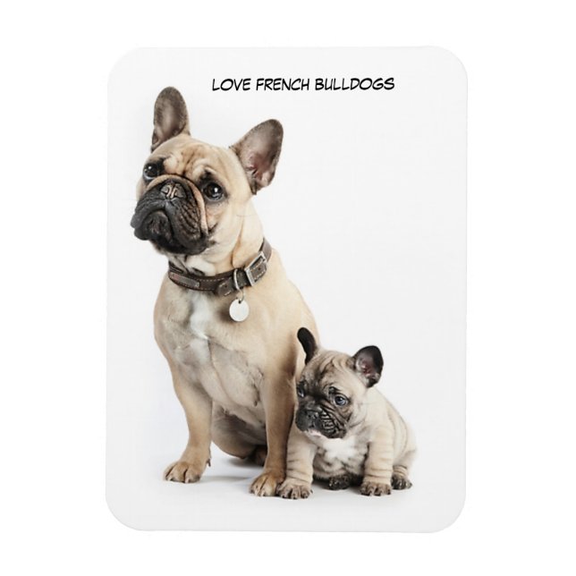 I love French Bulldogs Magnet (Vertical)