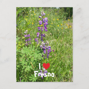 I Love Fresno Postcard
