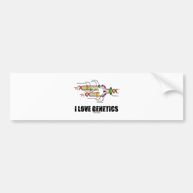 I Love Genetics (DNA Replication) Bumper Sticker (Front)