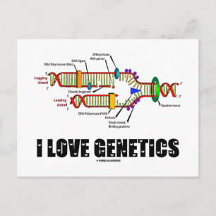 I Love Genetics (DNA Replication) Postcard