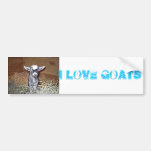 i love goats bumper sticker